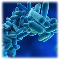 HIVウイルスの感染